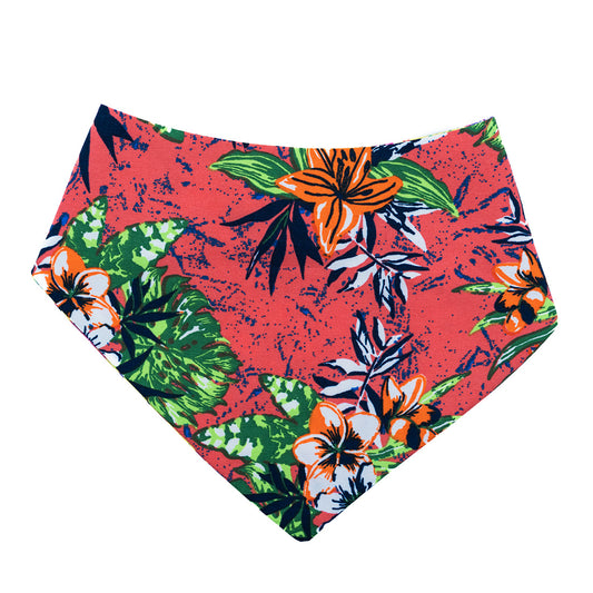 Tropical Paradise