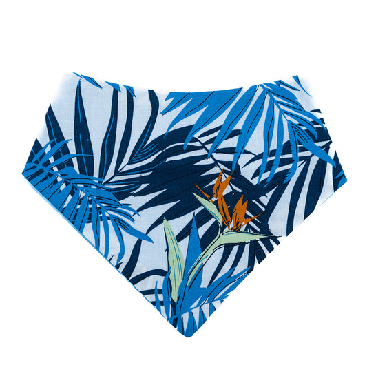 Azul Floral