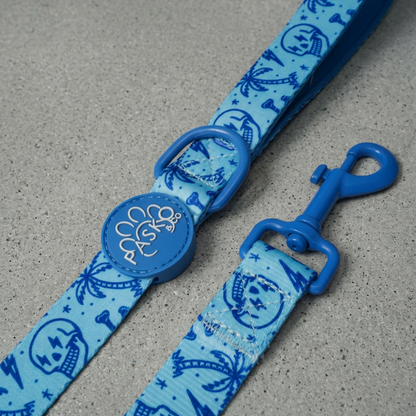 The Tampa Edition Harness Set