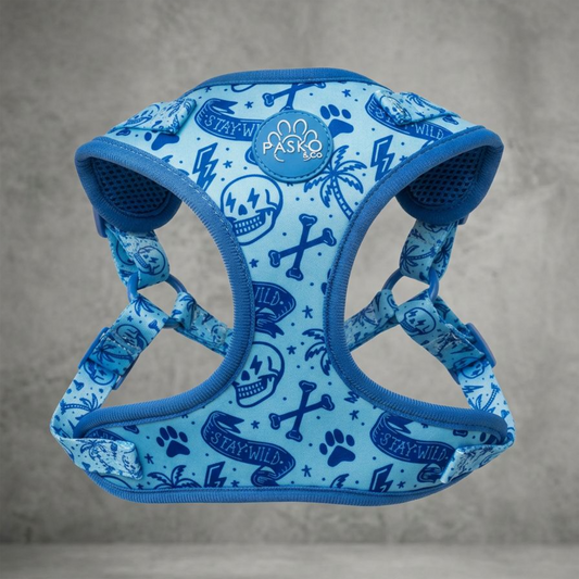 The Tampa Edition Harness Set