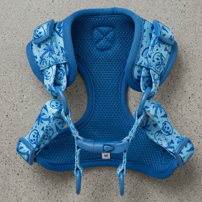The Tampa Edition Harness Set