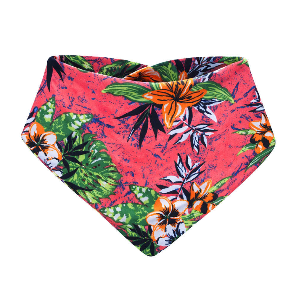 Tropical Paradise