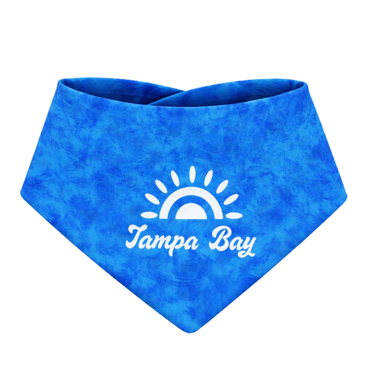 Tampa Bay Sun