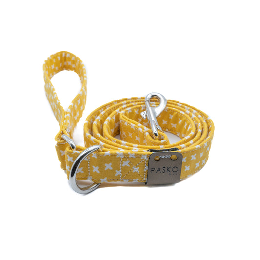Sunrise Leash
