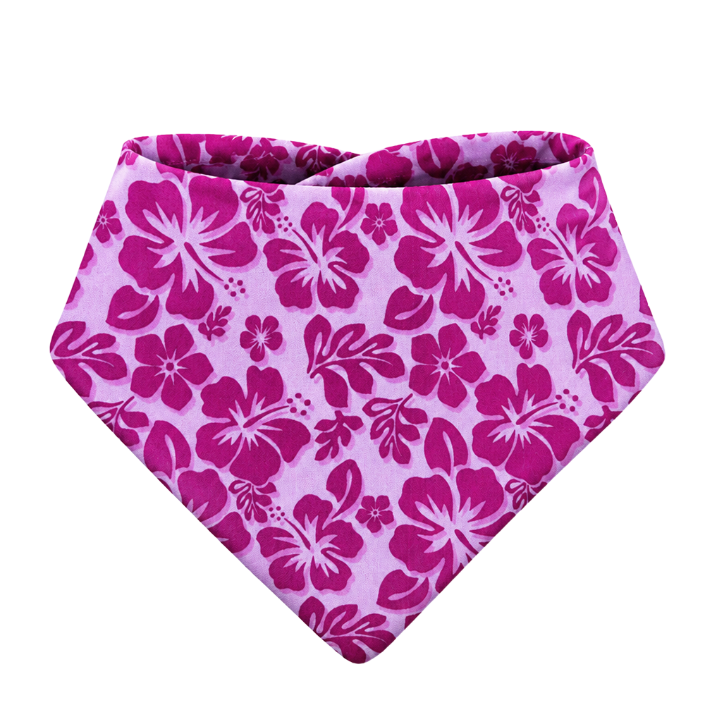 Pink Hibiscus
